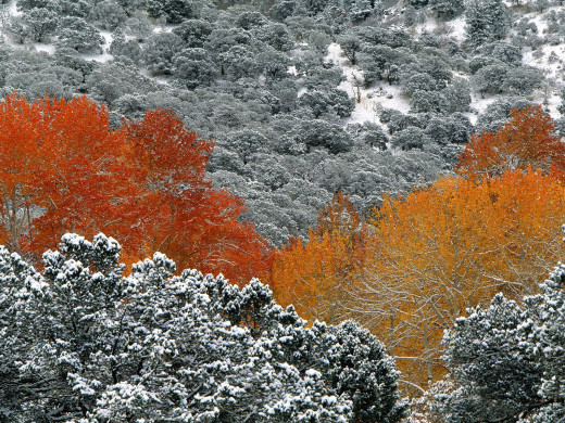 26679 (a): :1600x1200